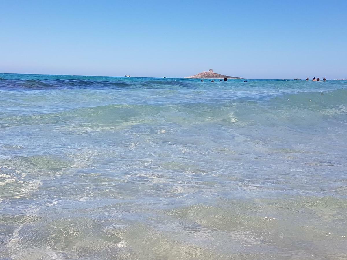La Rosa Dei Venti Βίλα Isola delle Femmine Εξωτερικό φωτογραφία